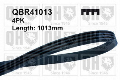 QUINTON HAZELL qbr41013 -  Поликлиновой ремень